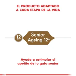 Royal Canin Senior (+7 Años)^Ageing 12+ años 2kg