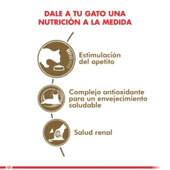 Royal Canin Senior (+7 Años)^Ageing 12+ años 2kg