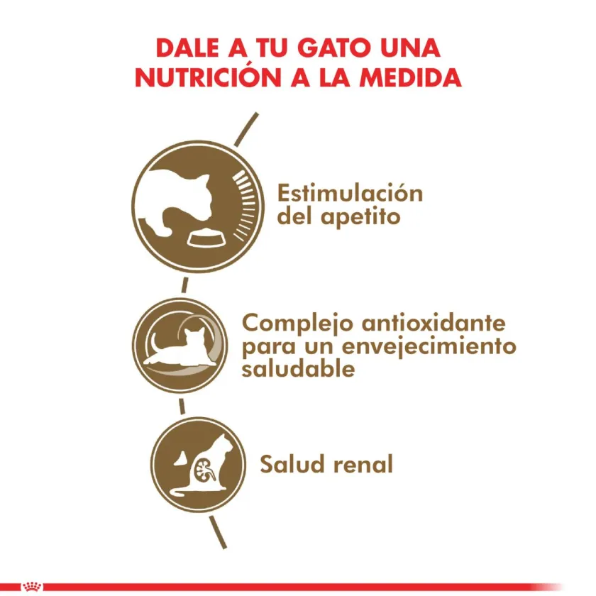 Royal Canin Senior (+7 Años)^Ageing 12+ años 2kg