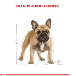 Royal Canin Específicos Para Razas^Bulldog Frances Adulto 3kg