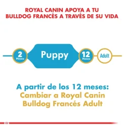 Royal Canin Específicos Para Razas^Bulldog Frances Junior 3kg