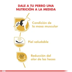 Royal Canin Específicos Para Razas^Bulldog Frances Adulto 3kg