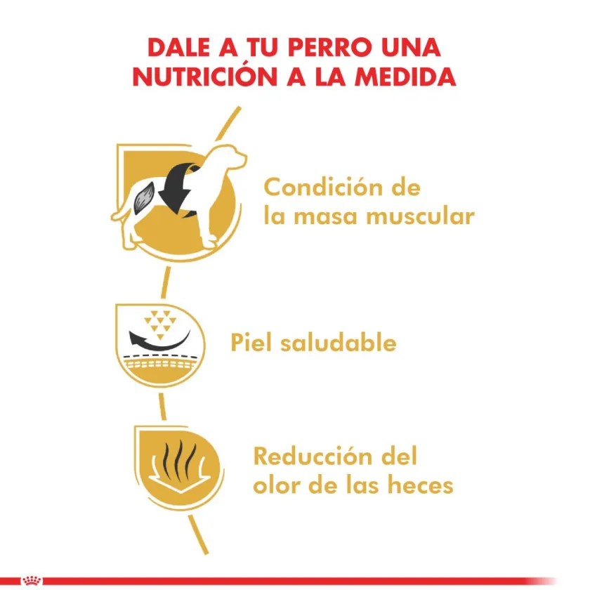 Royal Canin Específicos Para Razas^Bulldog Frances Adulto 7.5kg