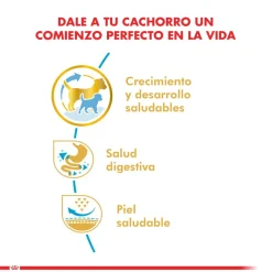 Royal Canin Específicos Para Razas^Bulldog Frances Junior 3kg