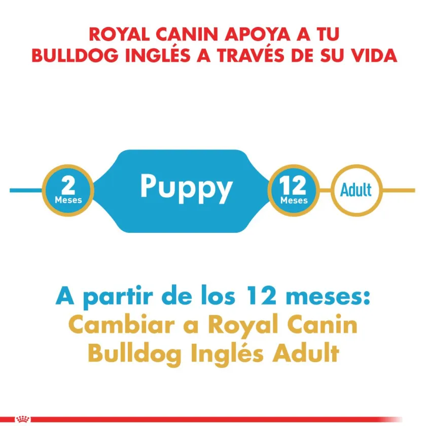 Royal Canin Específicos Para Razas^Bulldog Ingles Junior 12kg
