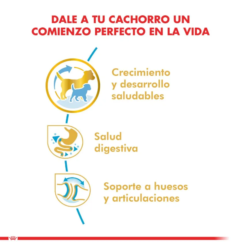 Royal Canin Específicos Para Razas^Bulldog Ingles Junior 12kg