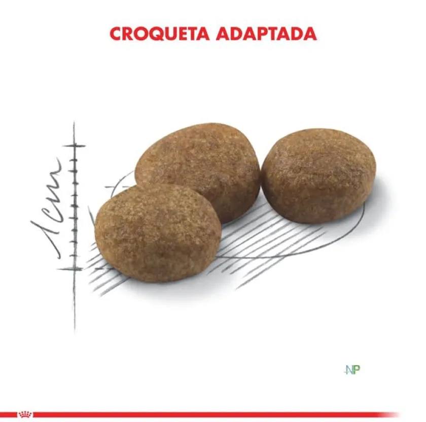Royal Canin Castrados^Cat Adult Sterilised 4kg