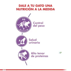 Royal Canin Castrados^Cat Adult Sterilised 4kg