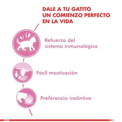 Royal Canin Húmedos^Cat Kitten Pouch 85gr