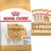 Royal Canin Específicos Para Razas^Chihuahua Adulto 1KG + 4 Chihuahua Adulto Pouch 85gr