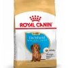 Royal Canin Específicos Para Razas^Dachshund Teckel Junior 2.5kg