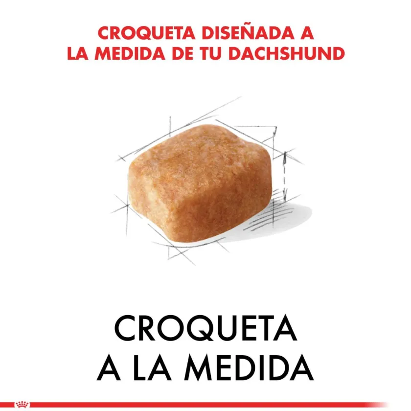 Royal Canin Específicos Para Razas^Dachshund Teckel 7.5kg