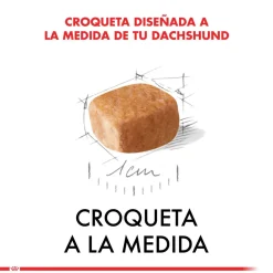 Royal Canin Específicos Para Razas^Dachshund Teckel Junior 2.5kg