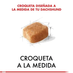 Royal Canin Específicos Para Razas^Dachshund Teckel 3kg