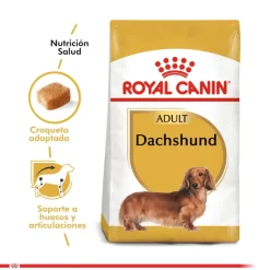 Royal Canin Específicos Para Razas^Dachshund Teckel 2.5kg
