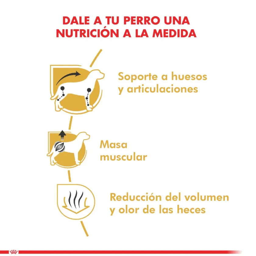 Royal Canin Específicos Para Razas^Dachshund Teckel 7.5kg