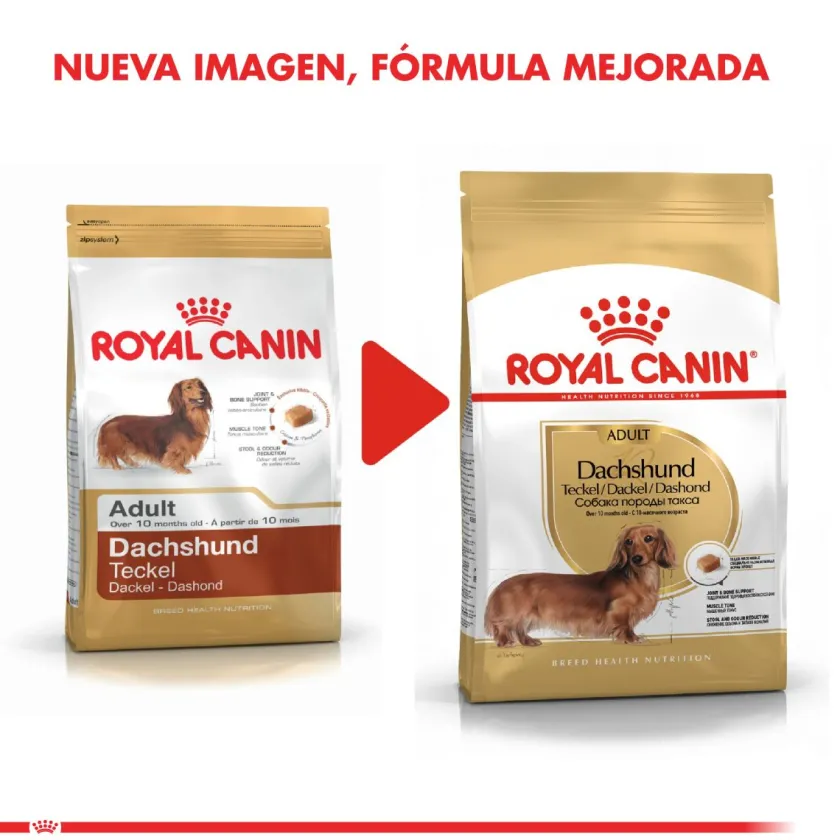 Royal Canin Específicos Para Razas^Dachshund Teckel 7.5kg