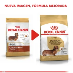 Royal Canin Específicos Para Razas^Dachshund Teckel 2.5kg