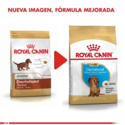 Royal Canin Específicos Para Razas^Dachshund Teckel Junior 2.5kg