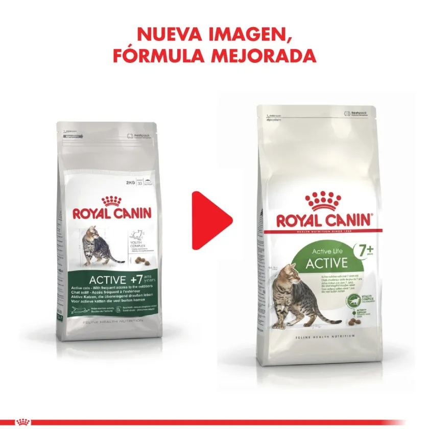 Royal Canin Senior (+7 Años)^Gato Active 7+ 1.5kg