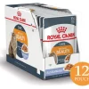 Royal Canin Húmedos^Gato Adulto Hair & Skin (Intense Beauty) Pouch 85gr x 12 unidades