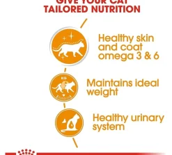 Royal Canin Húmedos^Gato Adulto Hair & Skin (Intense Beauty) Pouch 85gr x 12 unidades