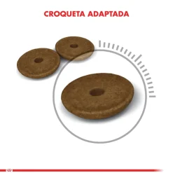 Royal Canin Adultos (1 A 7 Años)^Gato Digestive 1.5kg