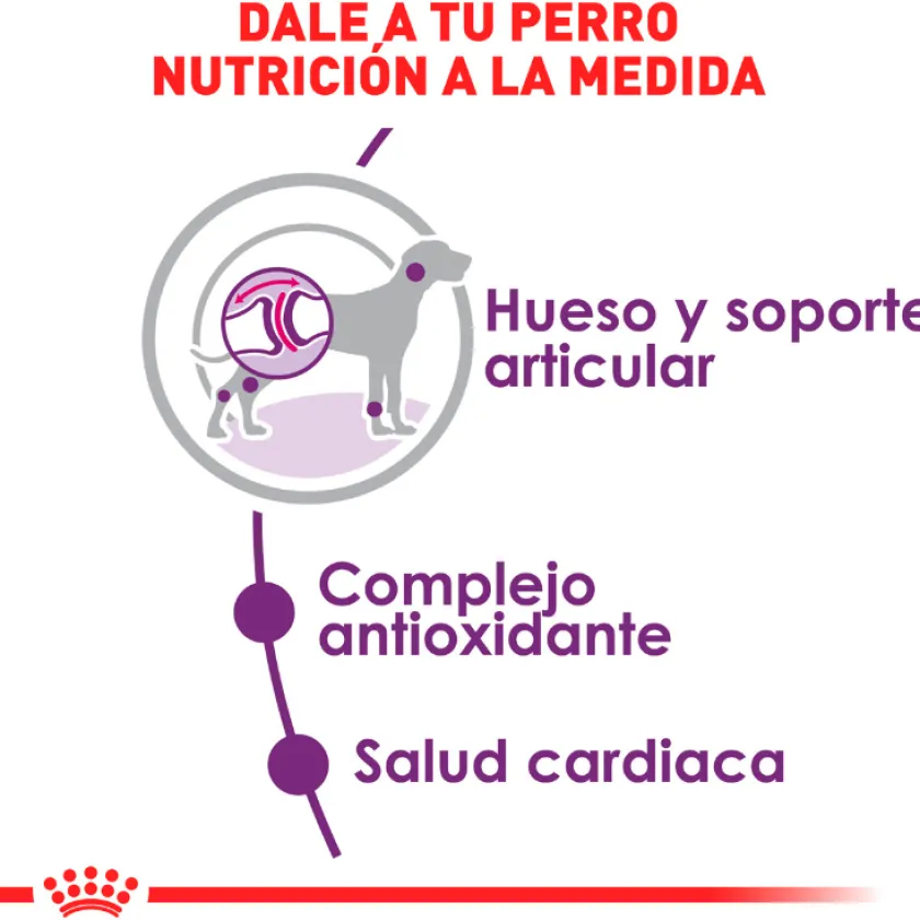 Royal Canin Adultos (1 A 7 Años)^Giant Adulto 15kg