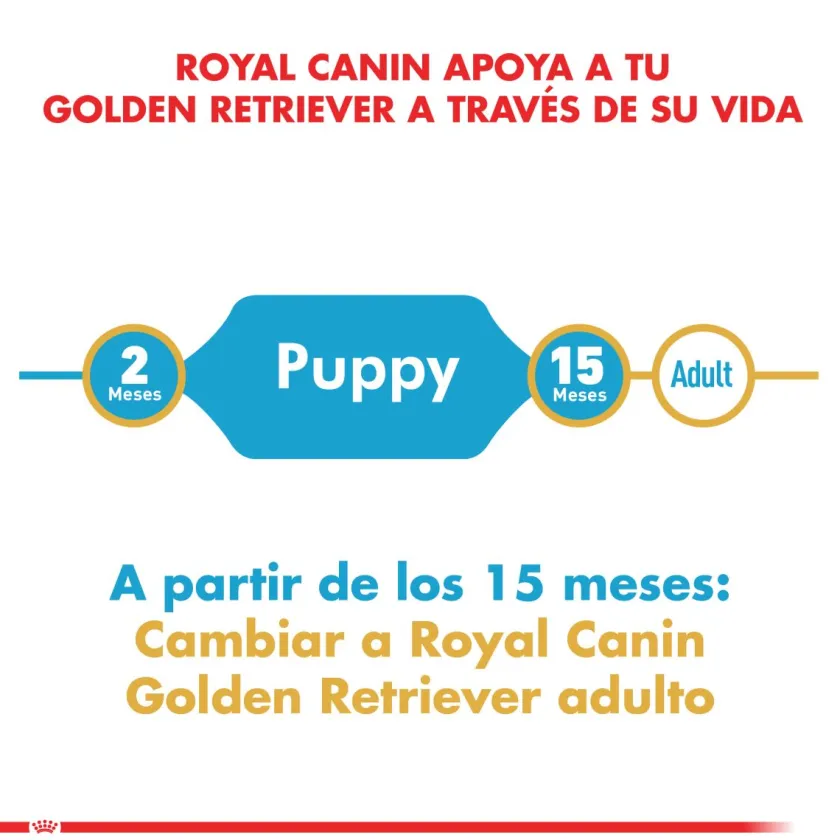 Royal Canin Específicos Para Razas^Golden Retriever Junior 12kg