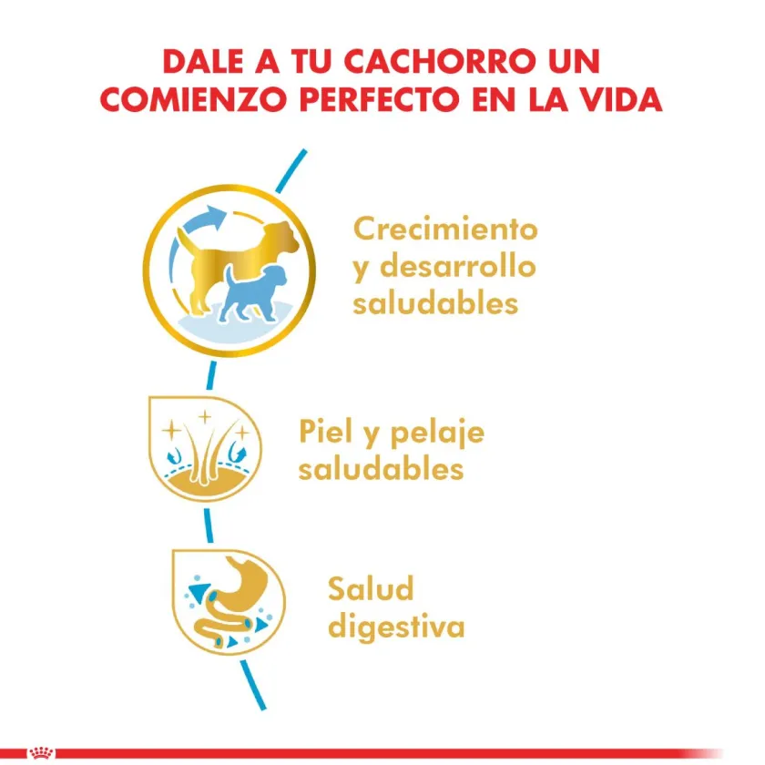 Royal Canin Específicos Para Razas^Golden Retriever Junior 12kg