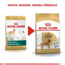 Royal Canin Específicos Para Razas^Golden Retriever Adulto 12kg