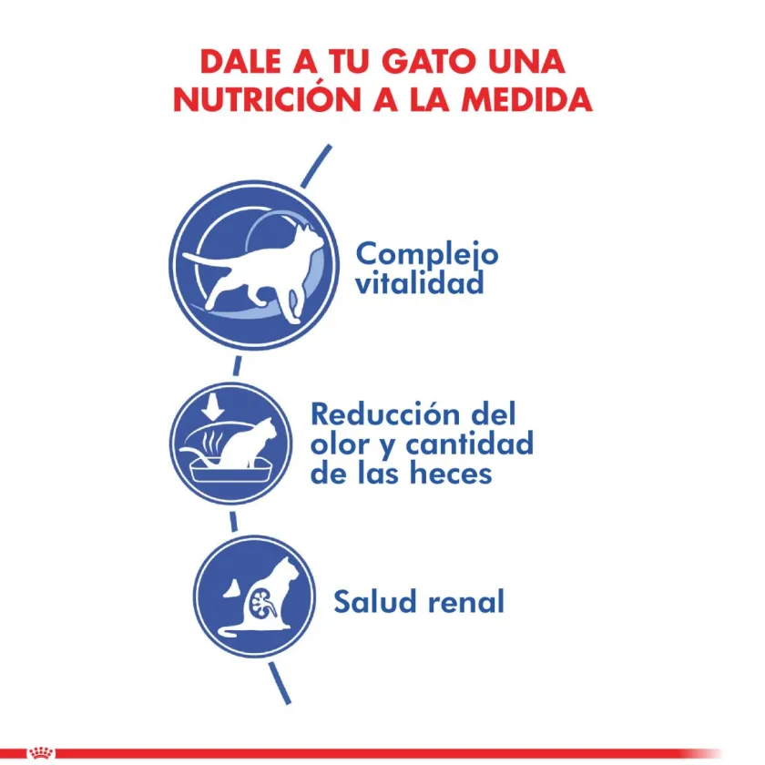 Royal Canin Senior (+7 Años)^Indoor 7+ 2kg