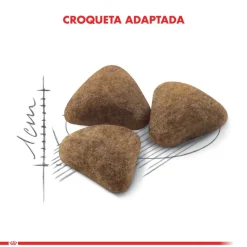 Royal Canin Adultos (1 A 7 Años)^Indoor 1.5kg