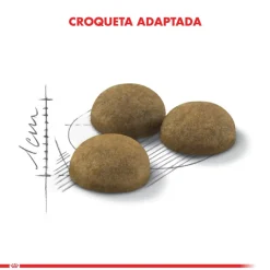 Royal Canin Adultos (1 A 7 Años)^Indoor Long Hair 1.5kg