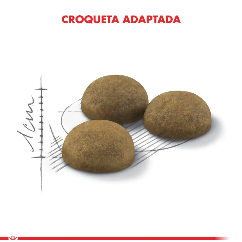 Royal Canin Adultos (1 A 7 Años)^Indoor Long Hair 1.5kg