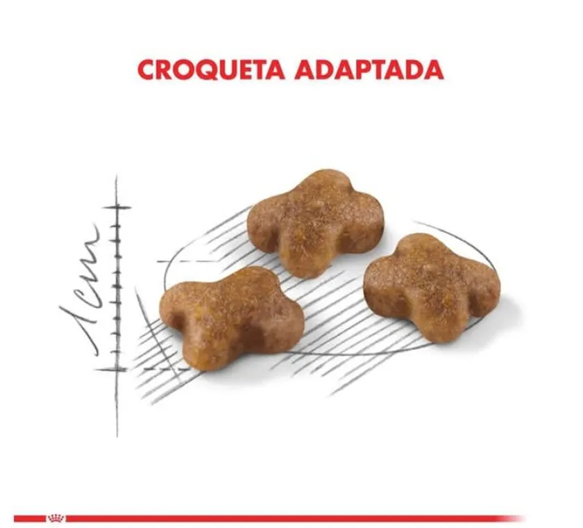 Royal Canin Gatitos (0 A 12 Meses)^Kitten 400gr