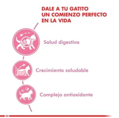 Royal Canin Gatitos (0 A 12 Meses)^Kitten 4kg