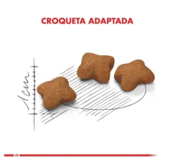 Royal Canin Gatitos (0 A 12 Meses)^Kitten Sterilised 400gr