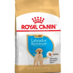 Royal Canin Específicos Para Razas^Labrador Retriever Junior 12kg
