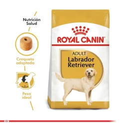 Royal Canin Específicos Para Razas^Labrador Retriever Adulto 12kg