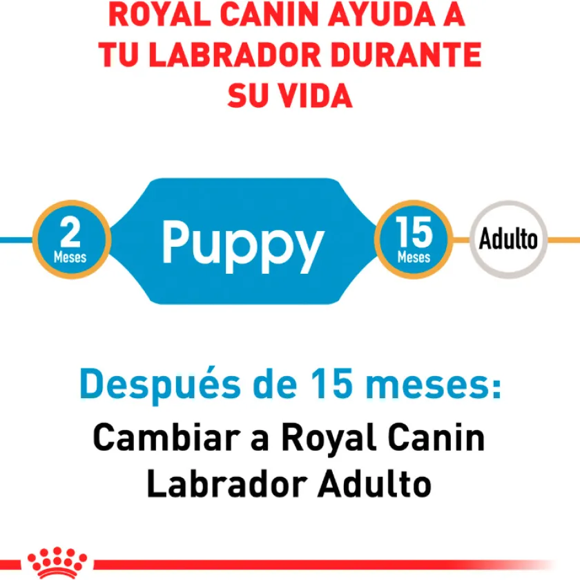 Royal Canin Específicos Para Razas^Labrador Retriever Junior 12kg