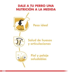 Royal Canin Específicos Para Razas^Labrador Retriever Adulto 12kg