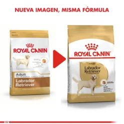Royal Canin Específicos Para Razas^Labrador Retriever Adulto 12kg