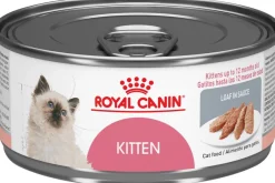 Royal Canin Húmedos^Latas Gatito Kitten Pate Pack 24 Unidades
