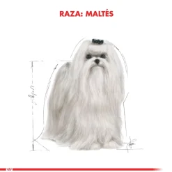 Royal Canin Específicos Para Razas^Maltes Adulto 1kg