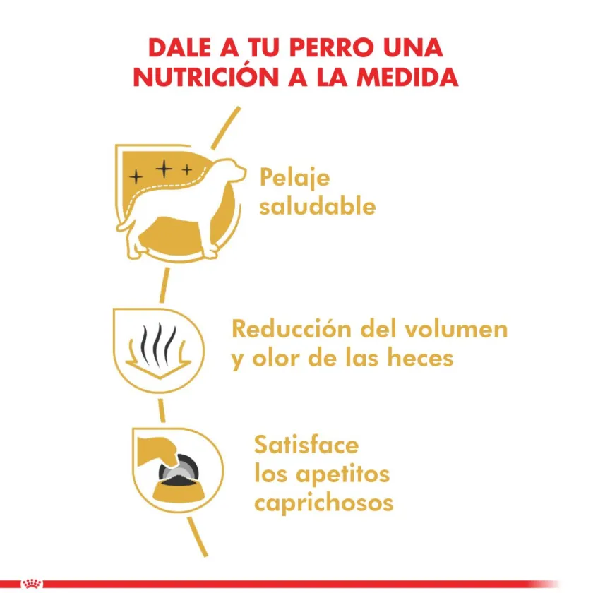 Royal Canin Específicos Para Razas^Maltes Adulto 1kg