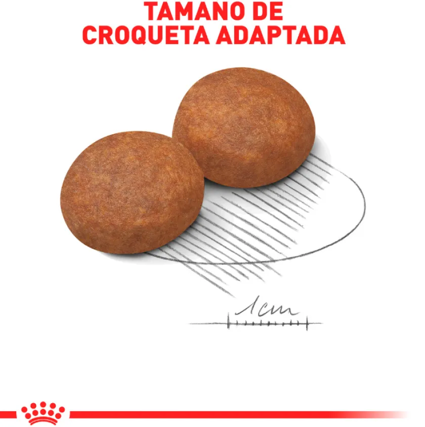 Royal Canin Senior (+7 Años)^Maxi 5+ 15kg