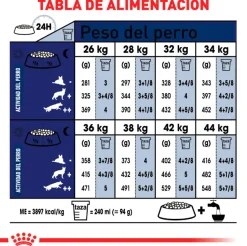 Royal Canin Senior (+7 Años)^Maxi 5+ 15kg
