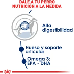 Royal Canin Adultos (1 A 7 Años)^Maxi Adulto 15kg