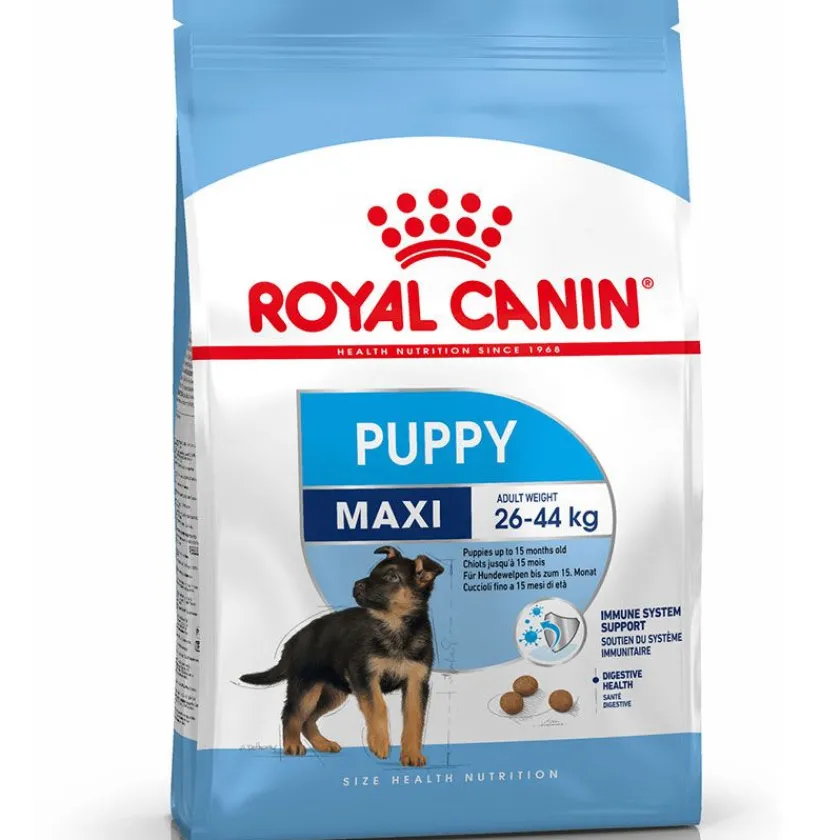Royal Canin Cachorros (0 A 12 Meses)^Maxi Junior 10kg